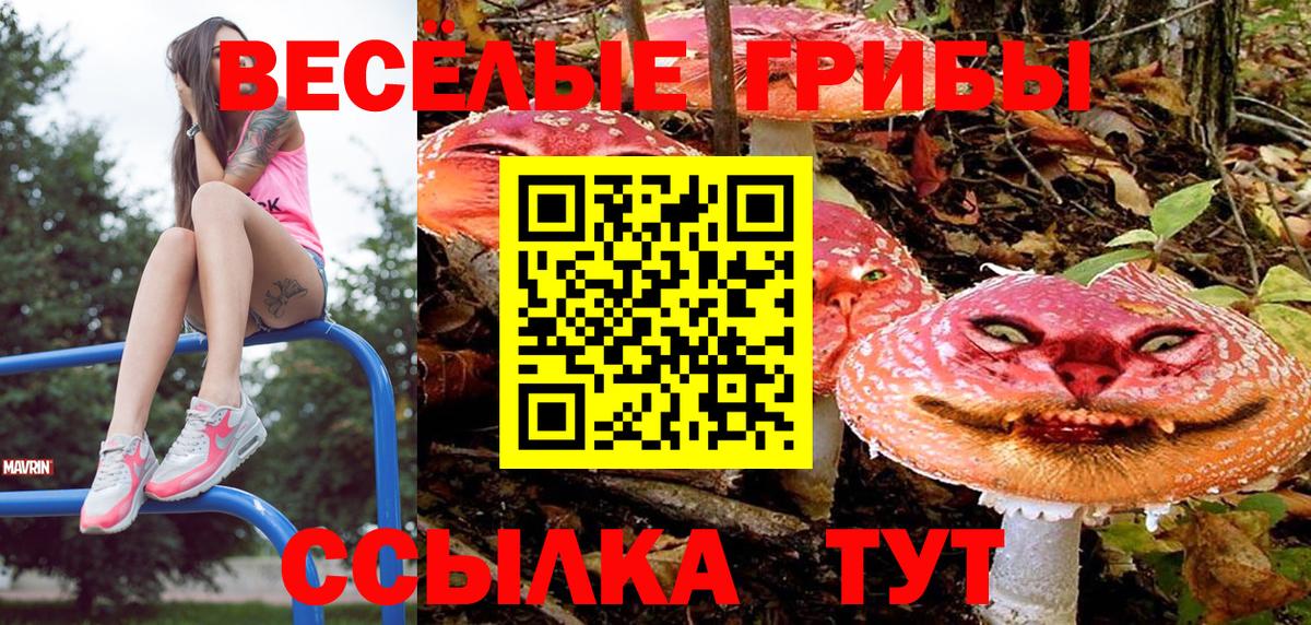Галлюциногенные грибы GOLDEN TEACHER Хабаровск