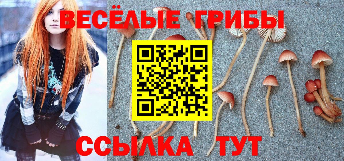 Псилоцибиновые грибы GOLDEN TEACHER  Вход с VPN  Хабаровск 